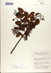 000077114-thumbnail.jpg