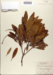 000077197-thumbnail.jpg