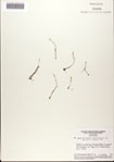 000078604-thumbnail.jpg
