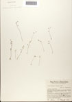 000078606-thumbnail.jpg