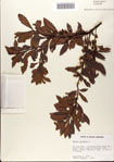 000080202-thumbnail.jpg