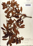 000080204-thumbnail.jpg