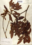 000080205-thumbnail.jpg