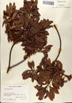 000080209-thumbnail.jpg