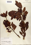 000080211-thumbnail.jpg