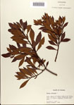 000080212-thumbnail.jpg