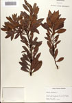 000080321-thumbnail.jpg