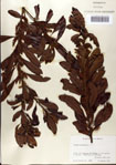 000080322-thumbnail.jpg