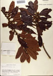 000080325-thumbnail.jpg