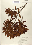 000080326-thumbnail.jpg