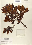 000080328-thumbnail.jpg