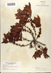 000080329-thumbnail.jpg