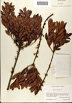 000080330-thumbnail.jpg