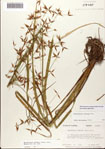 000080969-thumbnail.jpg