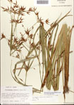 000080970-thumbnail.jpg