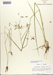 000080973-thumbnail.jpg