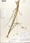 000080976-thumbnail.jpg
