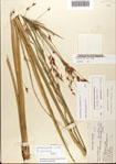 000081035-thumbnail.jpg