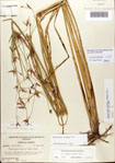 000081038-thumbnail.jpg