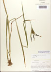 000081040-thumbnail.jpg