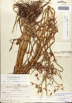 000081041-thumbnail.jpg