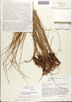 000081042-thumbnail.jpg