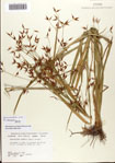 000081043-thumbnail.jpg