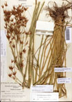 000081044-thumbnail.jpg