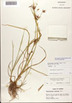 000081096-thumbnail.jpg