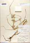 000081097-thumbnail.jpg