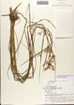 000081100-thumbnail.jpg