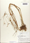 000081102-thumbnail.jpg