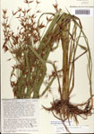 000081103-thumbnail.jpg