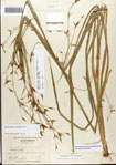 000081105-thumbnail.jpg