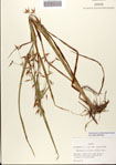 000081107-thumbnail.jpg