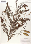 000081265-thumbnail.jpg