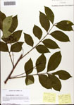 000081280-thumbnail.jpg