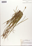 000081282-thumbnail.jpg