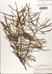 000081283-thumbnail.jpg