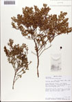 000081287-thumbnail.jpg