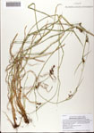 000081297-thumbnail.jpg