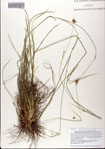 000081298-thumbnail.jpg