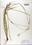 000081299-thumbnail.jpg