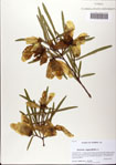 000081317-thumbnail.jpg