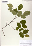 000081343-thumbnail.jpg