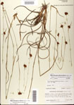000081359-thumbnail.jpg