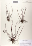 000081374-thumbnail.jpg