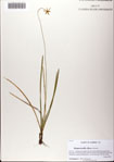 000081383-thumbnail.jpg