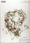 000081408-thumbnail.jpg