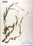 000081410-thumbnail.jpg